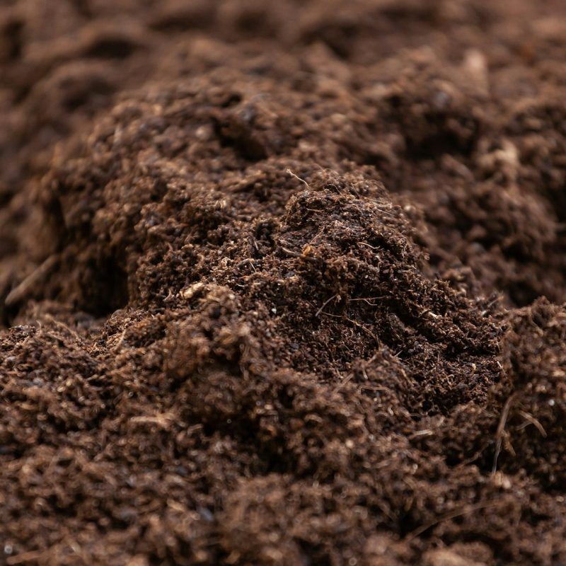 Clean potting soil for cultivation.