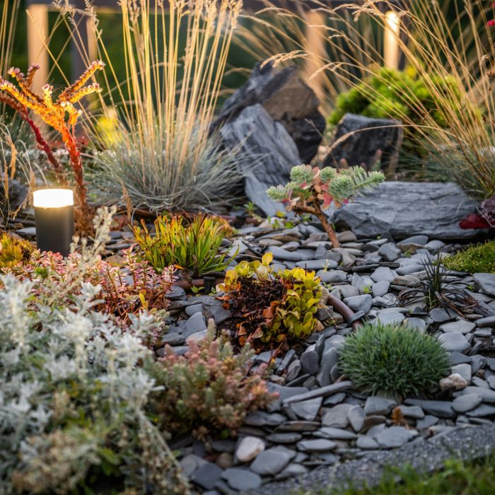 Flowerbed in Landscape Garden