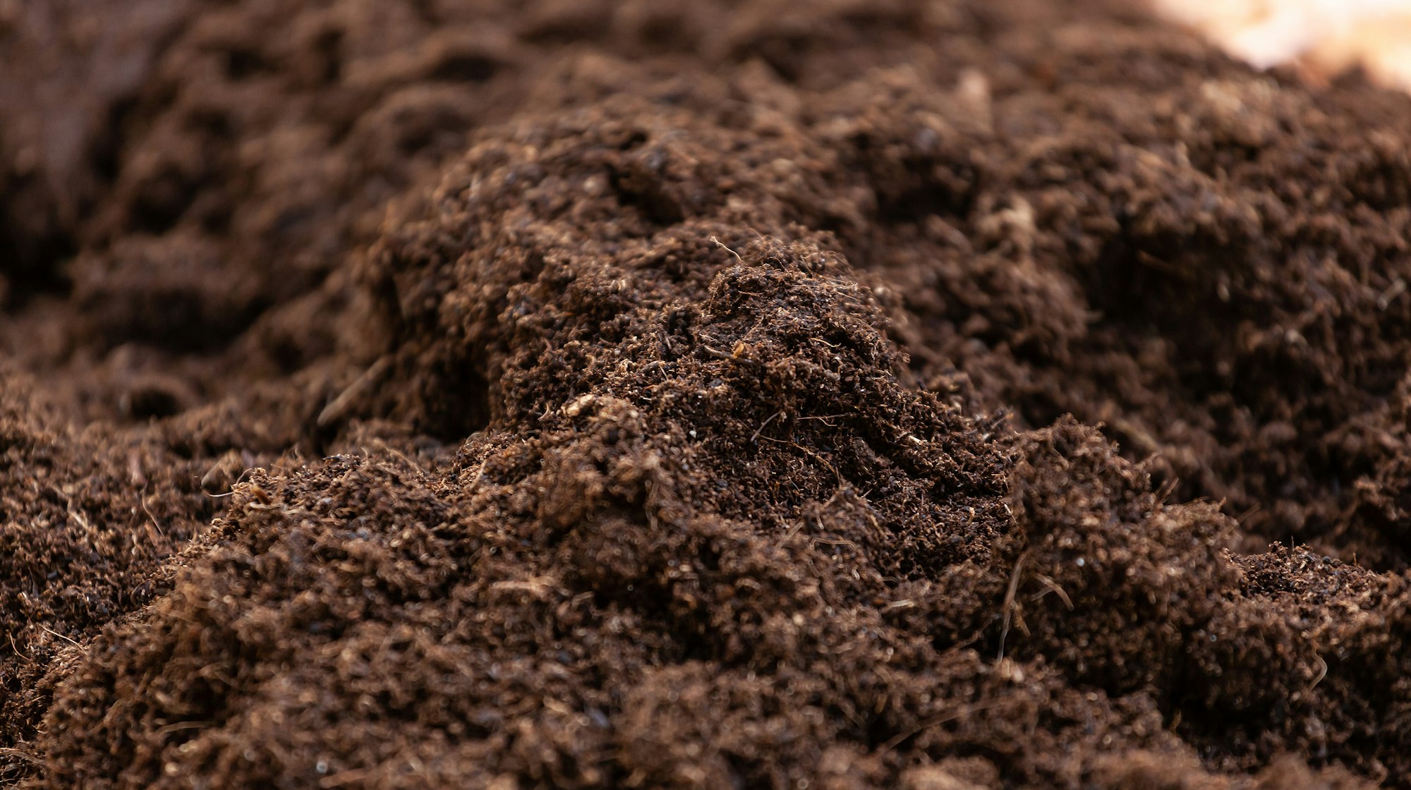 Clean potting soil for cultivation.