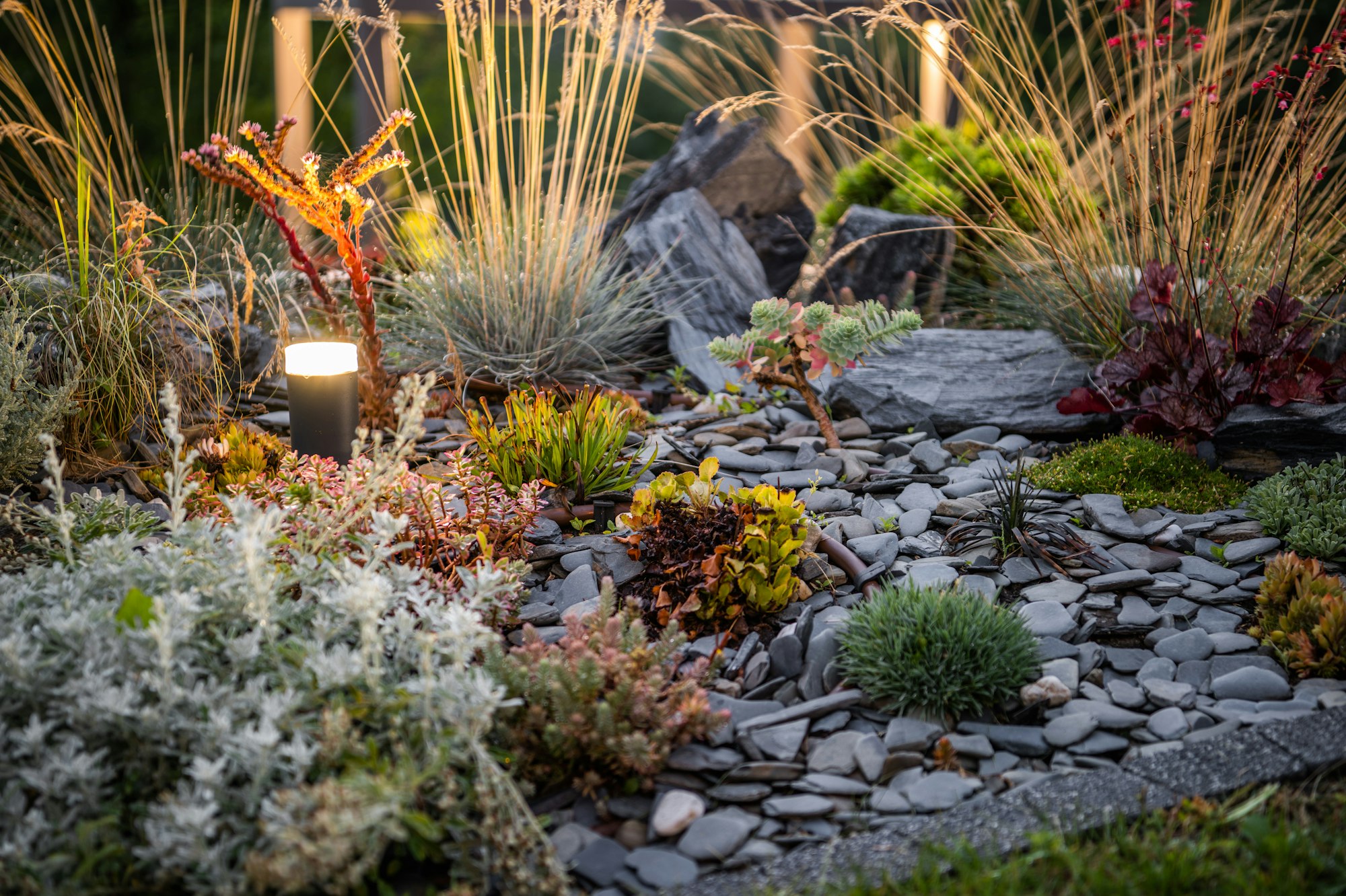 Flowerbed in Landscape Garden